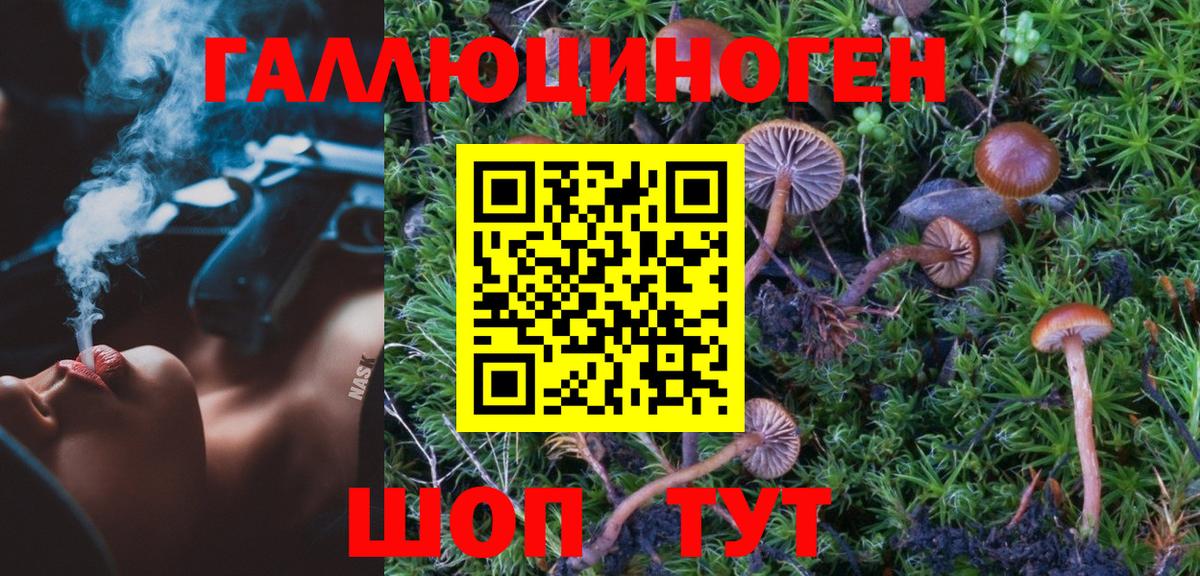 Псилоцибиновые грибы мухоморы Соликамск