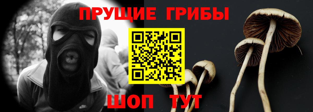 Галлюциногенные грибы Psilocybe  Псилоцибиновые грибы GOLDEN TEACHER  Соликамск  Вход с VPN 